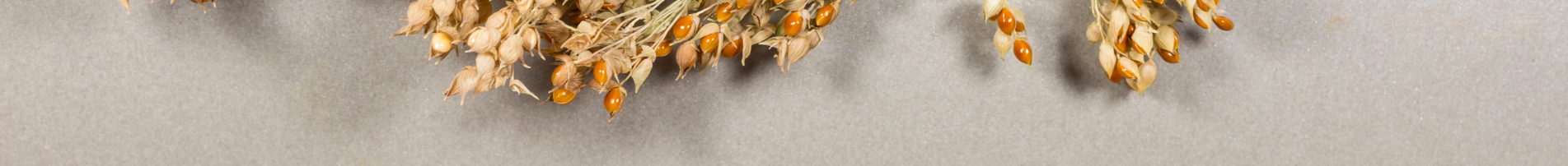 Millet Khichdi